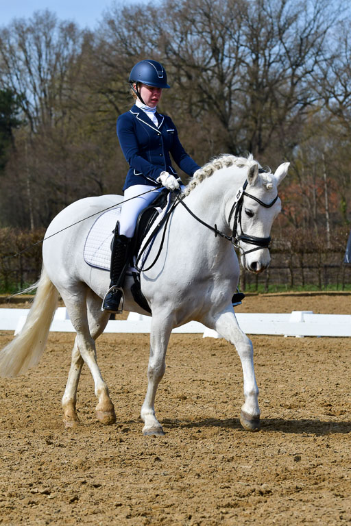 Reitsportzentrum Bremervörde | 10421 Dressur L Tr_493 