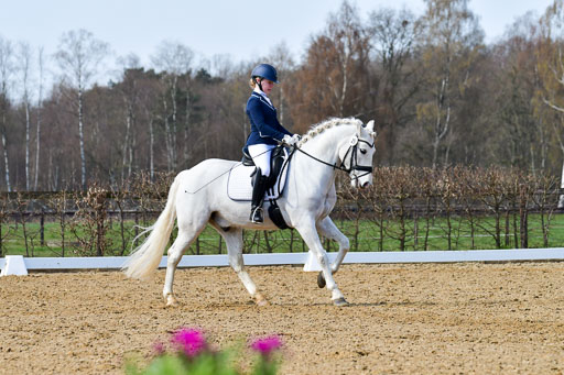 Reitsportzentrum Bremervörde | 10421 Dressur L Tr_495 