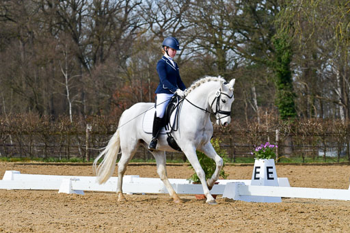 Reitsportzentrum Bremervörde | 10421 Dressur L Tr_496 