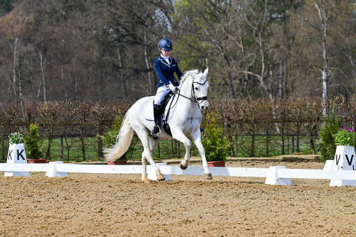 Reitsportzentrum Bremervörde | 10421 Dressur L Tr_497 