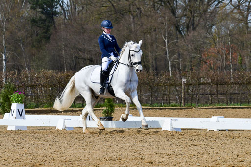 Reitsportzentrum Bremervörde | 10421 Dressur L Tr_502 