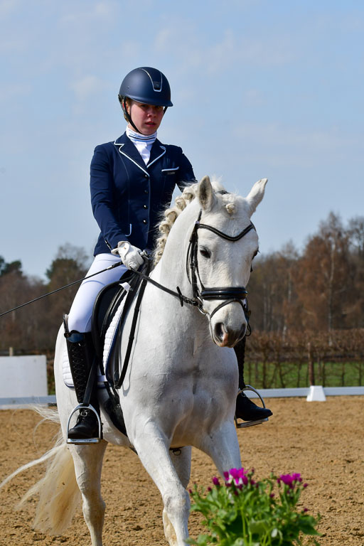 Reitsportzentrum Bremervörde | 10421 Dressur L Tr_505 