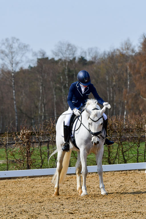 Reitsportzentrum Bremervörde | 10421 Dressur L Tr_507 