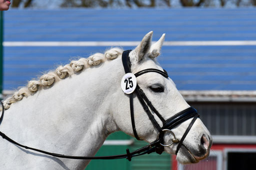Reitsportzentrum Bremervörde | 10421 Dressur L Tr_509 