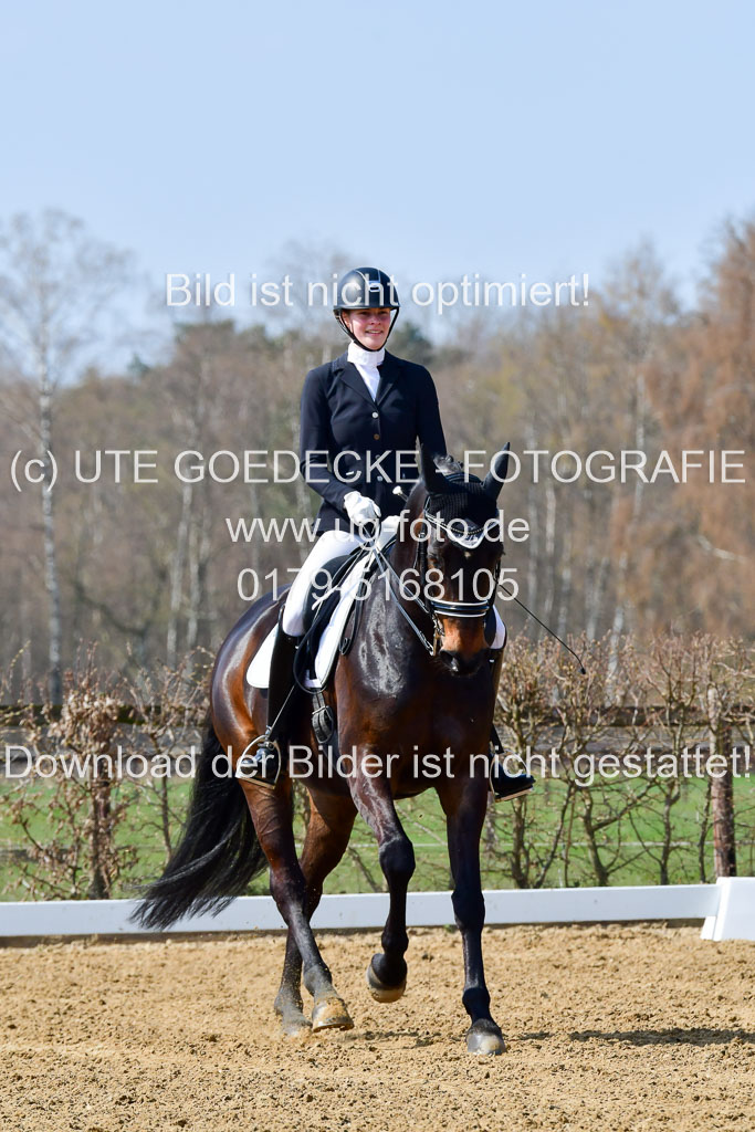 Reitsportzentrum Bremervörde | 10421 Dressur M++