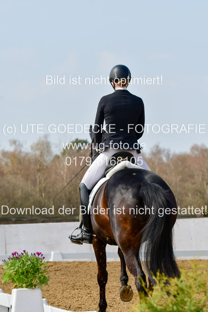 Reitsportzentrum Bremervörde | 10421 Dressur M++_009