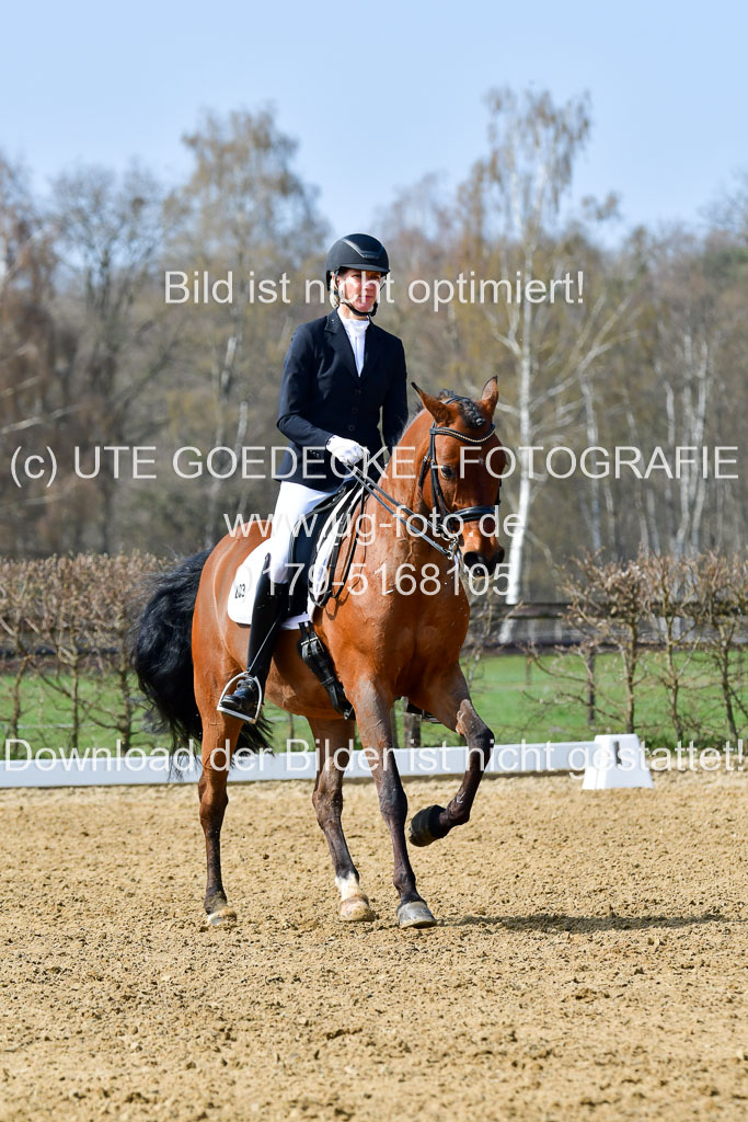 Reitsportzentrum Bremervörde | 10421 Dressur M++_017 