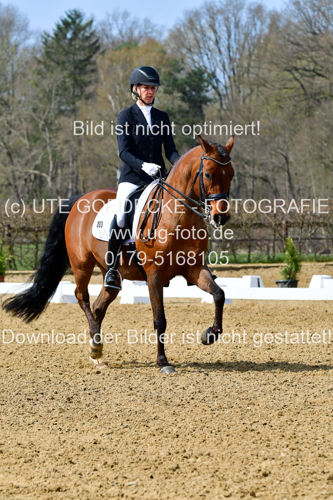 Reitsportzentrum Bremervörde | 10421 Dressur M++_018