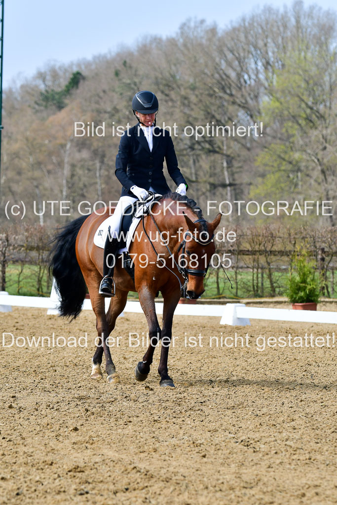Reitsportzentrum Bremervörde | 10421 Dressur M++_029