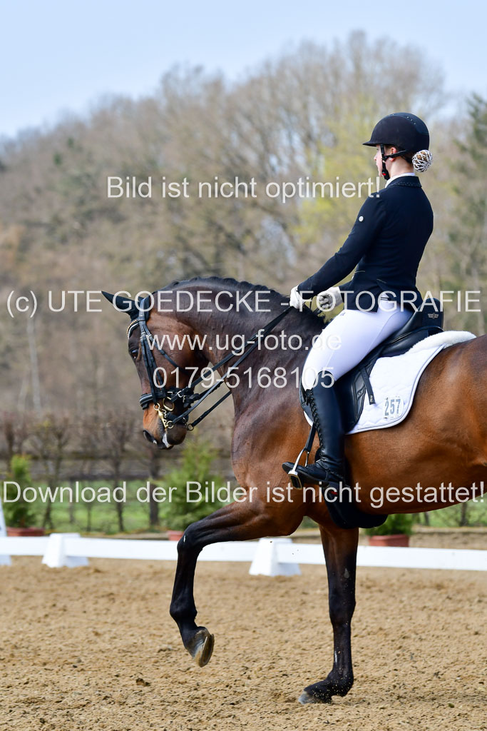 Reitsportzentrum Bremervörde | 10421 Dressur M++_032