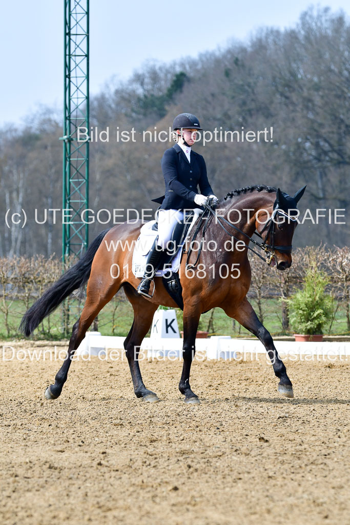 Reitsportzentrum Bremervörde | 10421 Dressur M++_036
