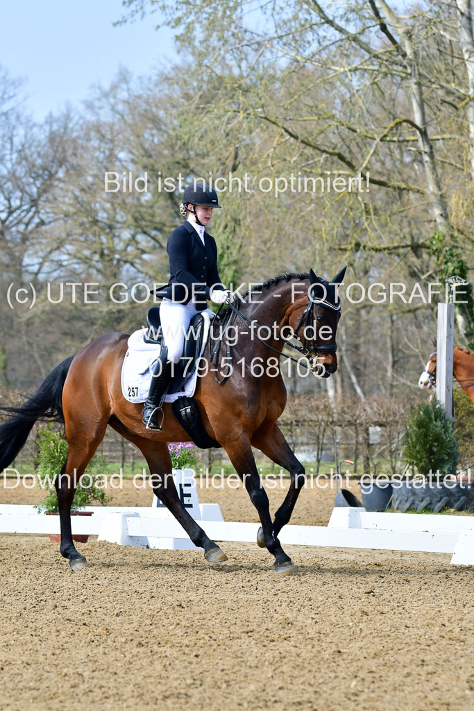 Reitsportzentrum Bremervörde | 10421 Dressur M++_037