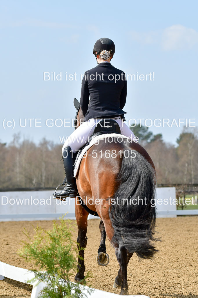 Reitsportzentrum Bremervörde | 10421 Dressur M++_038