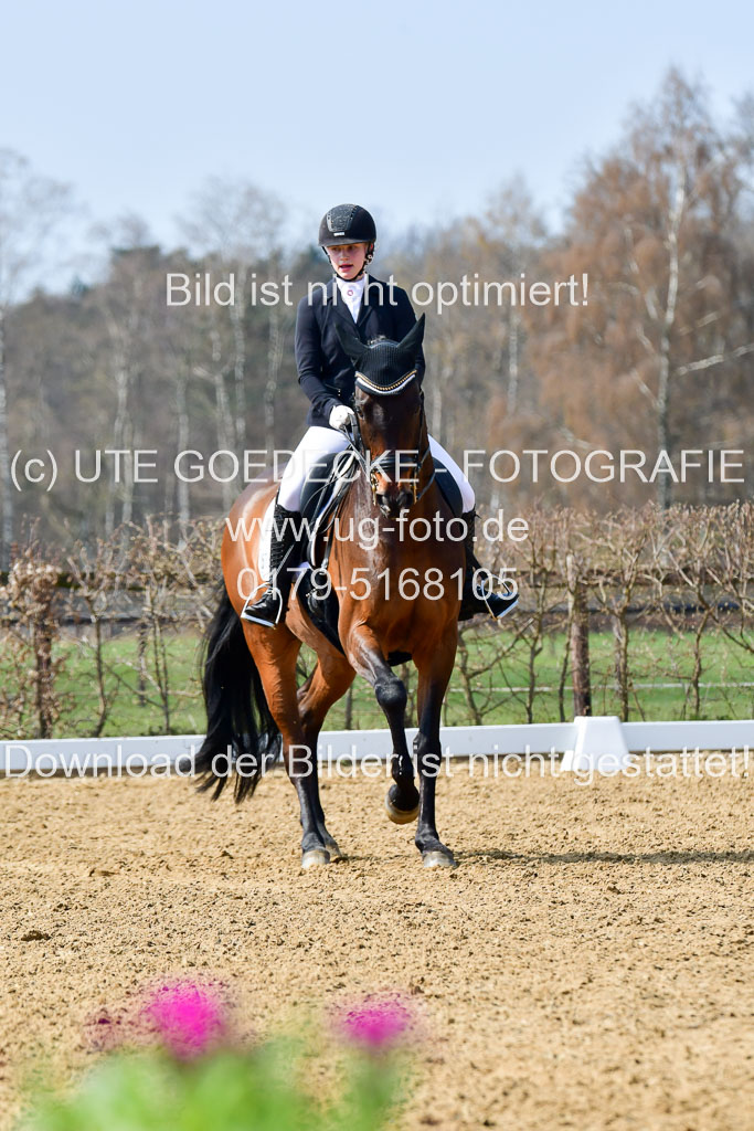 Reitsportzentrum Bremervörde | 10421 Dressur M++_039