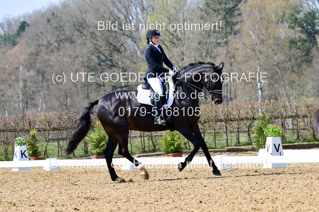 Reitsportzentrum Bremervörde | 10421 Dressur M++_065