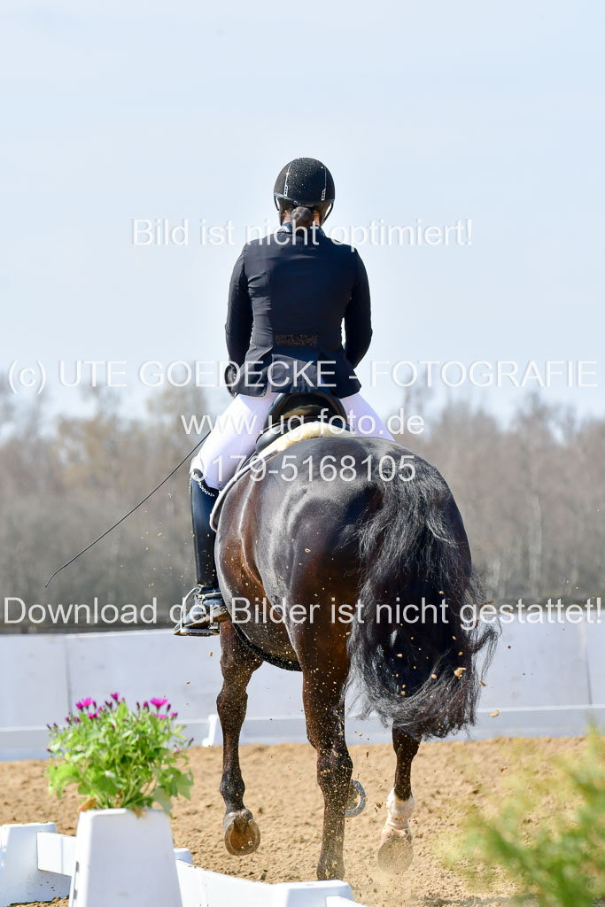 Reitsportzentrum Bremervörde | 10421 Dressur M++_076