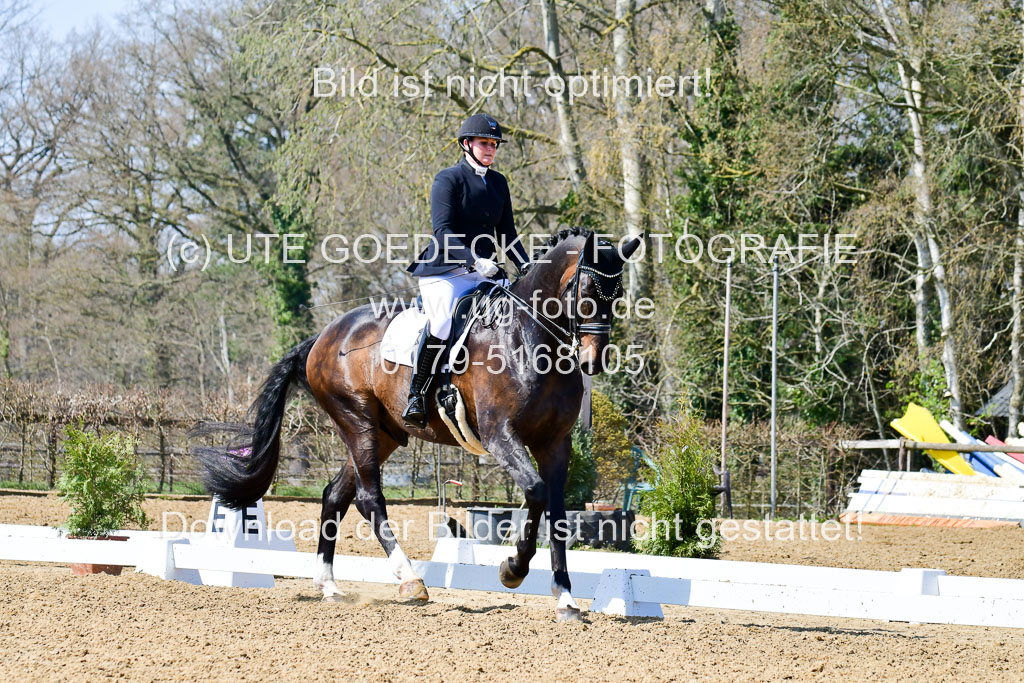 Reitsportzentrum Bremervörde | 10421 Dressur M++_084