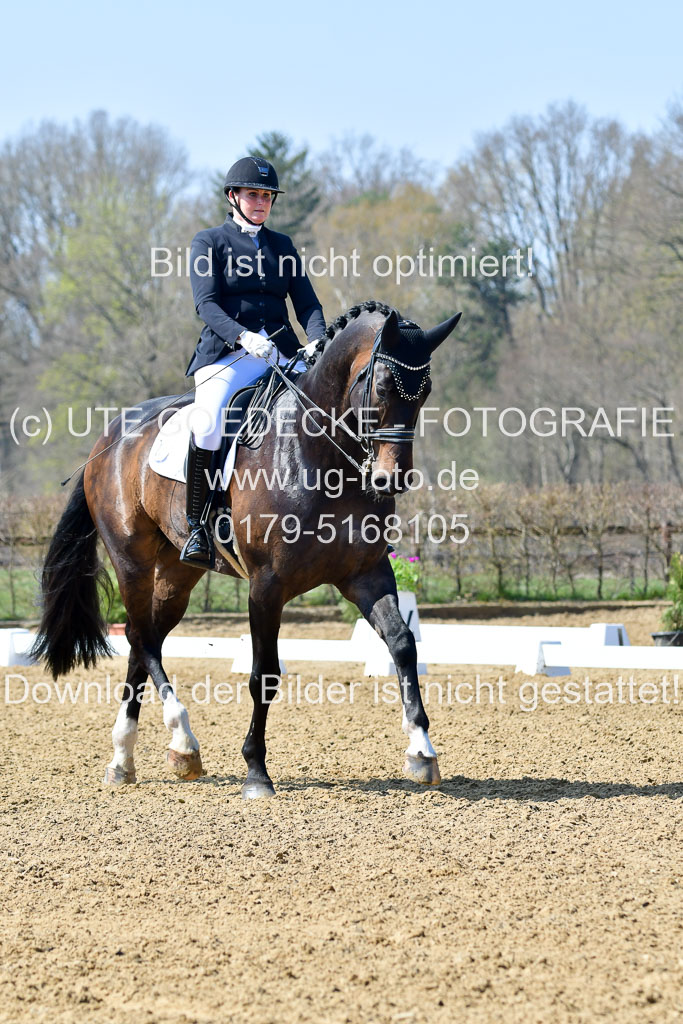 Reitsportzentrum Bremervörde | 10421 Dressur M++_089 