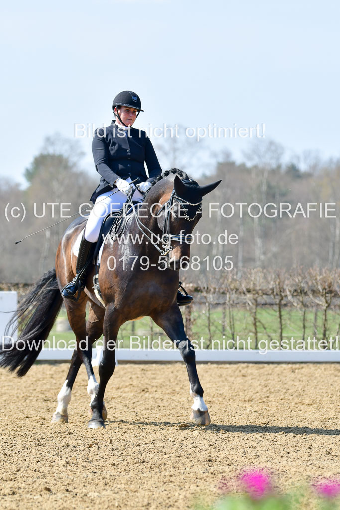 Reitsportzentrum Bremervörde | 10421 Dressur M++_090
