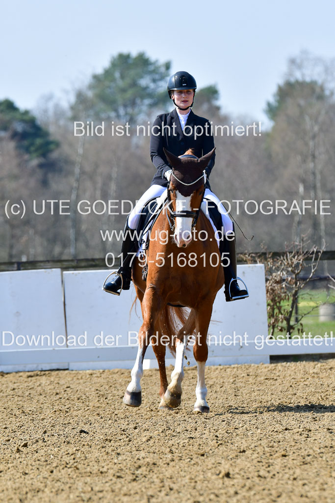 Reitsportzentrum Bremervörde | 10421 Dressur M++_095