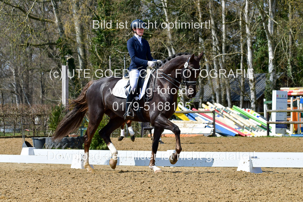 Reitsportzentrum Bremervörde | 10421 Dressur M++_104