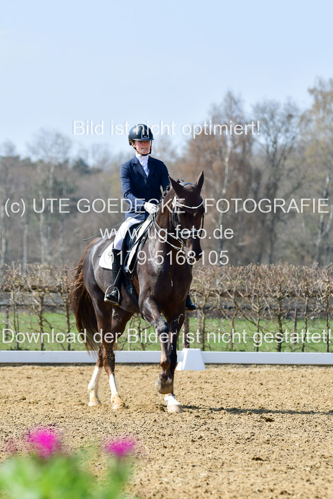 Reitsportzentrum Bremervörde | 10421 Dressur M++_106 