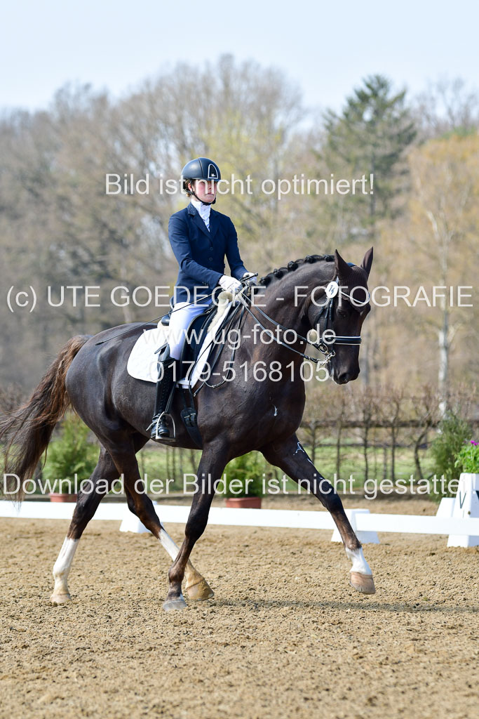 Reitsportzentrum Bremervörde | 10421 Dressur M++_113