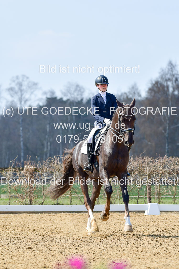 Reitsportzentrum Bremervörde | 10421 Dressur M++_117 