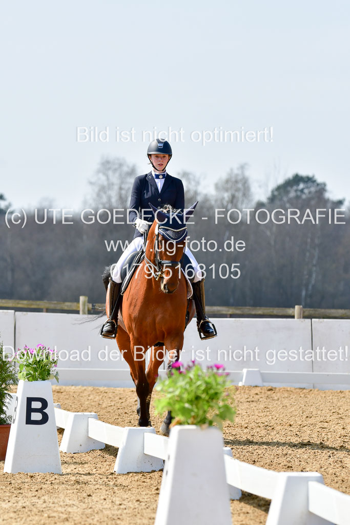 Reitsportzentrum Bremervörde | 10421 Dressur M++_119 