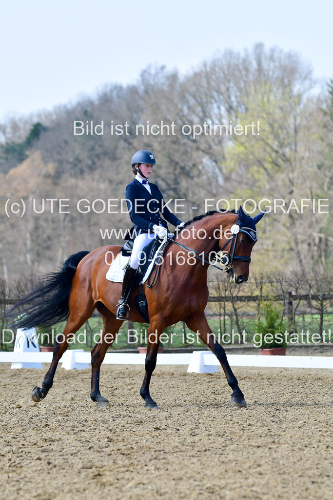 Reitsportzentrum Bremervörde | 10421 Dressur M++_130 