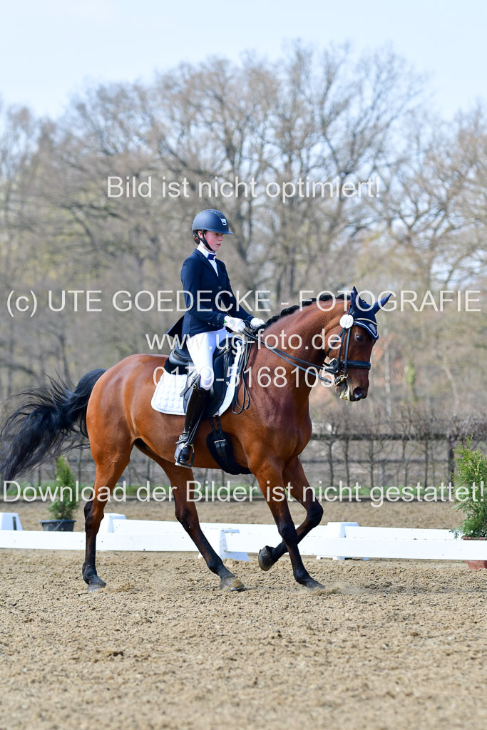 Reitsportzentrum Bremervörde | 10421 Dressur M++_132 