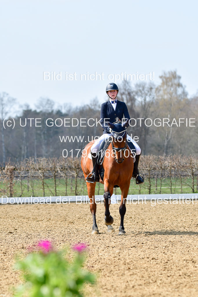 Reitsportzentrum Bremervörde | 10421 Dressur M++_136 