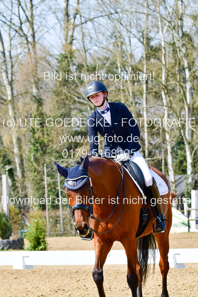 Reitsportzentrum Bremervörde | 10421 Dressur M++_137 