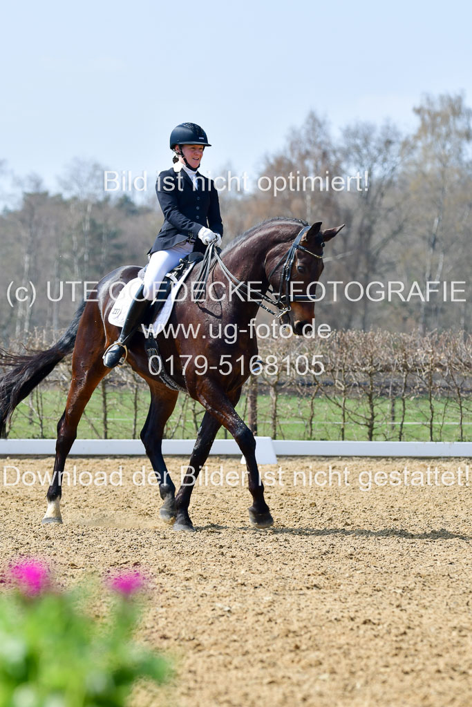 Reitsportzentrum Bremervörde | 10421 Dressur M++_141 