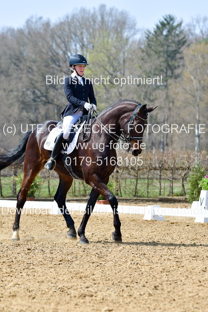 Reitsportzentrum Bremervörde | 10421 Dressur M++_143 