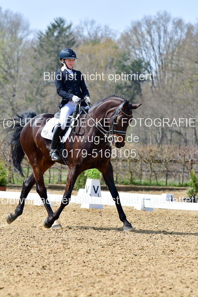 Reitsportzentrum Bremervörde | 10421 Dressur M++_144 