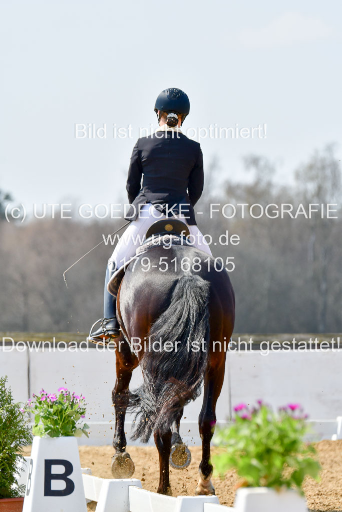 Reitsportzentrum Bremervörde | 10421 Dressur M++_151 