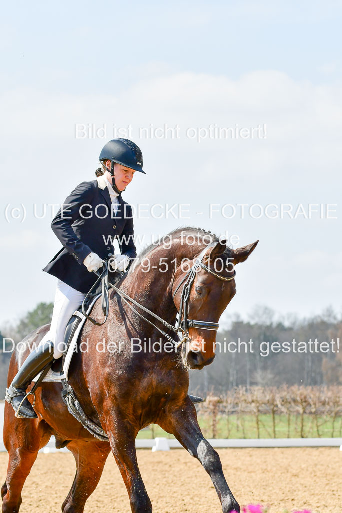 Reitsportzentrum Bremervörde | 10421 Dressur M++_154 