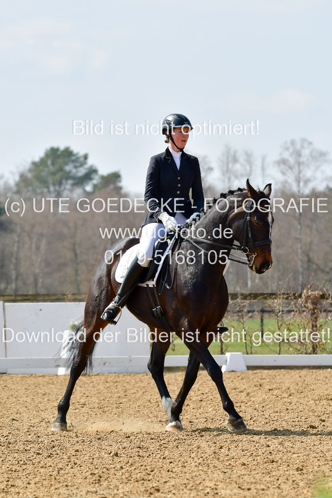 Reitsportzentrum Bremervörde | 10421 Dressur M++_160 