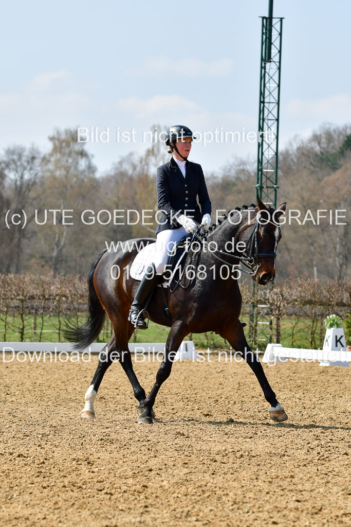 Reitsportzentrum Bremervörde | 10421 Dressur M++_161 