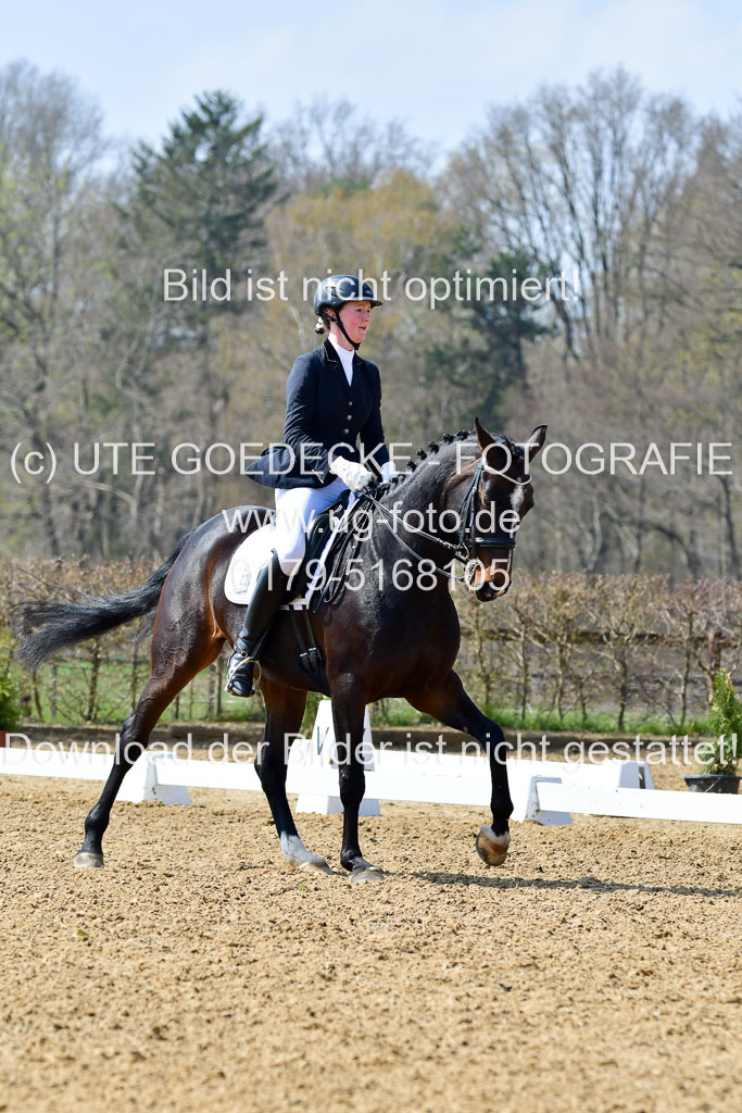 Reitsportzentrum Bremervörde | 10421 Dressur M++_162 