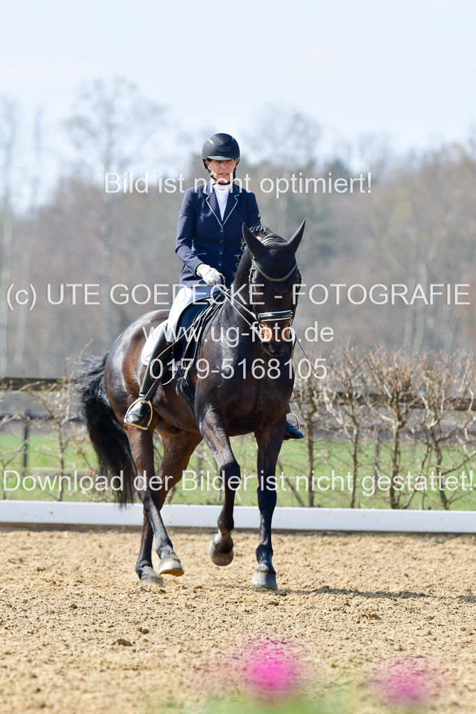 Reitsportzentrum Bremervörde | 10421 Dressur M++_170 