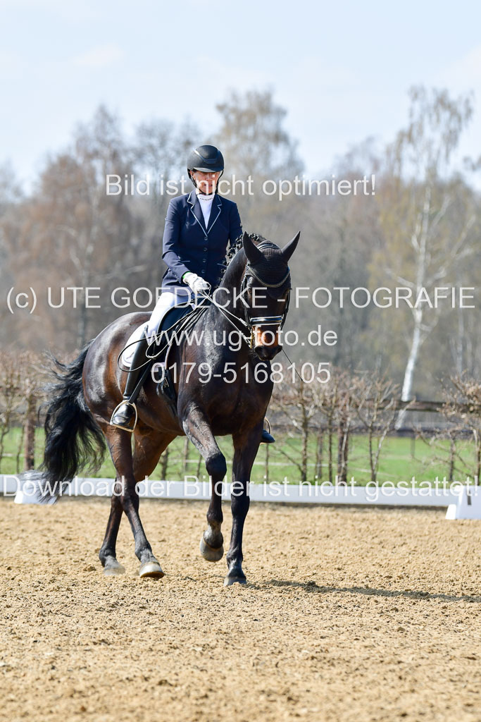 Reitsportzentrum Bremervörde | 10421 Dressur M++_171 