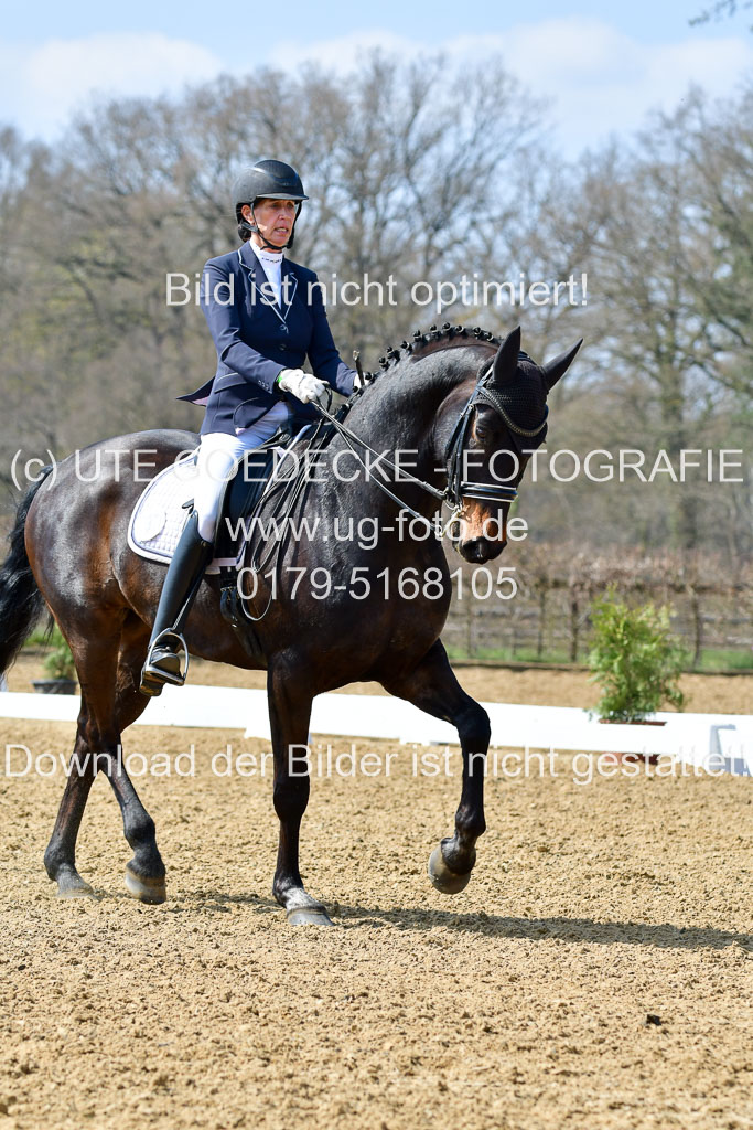 Reitsportzentrum Bremervörde | 10421 Dressur M++_173 