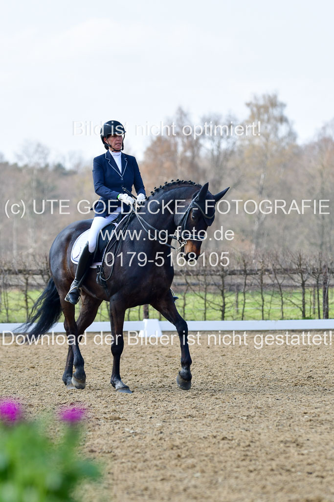 Reitsportzentrum Bremervörde | 10421 Dressur M++_175 