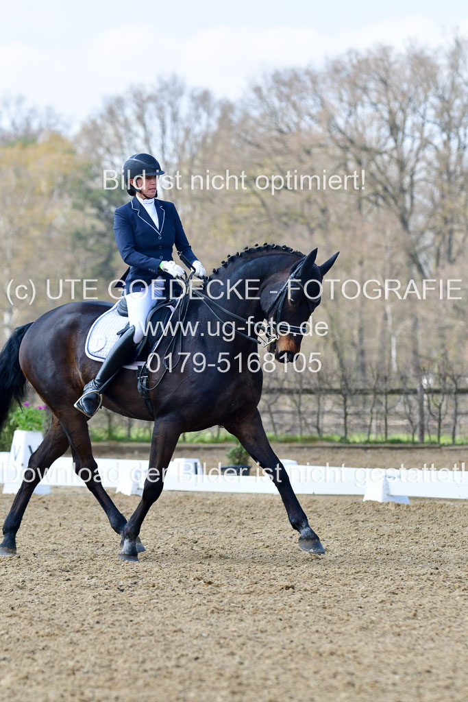 Reitsportzentrum Bremervörde | 10421 Dressur M++_178 