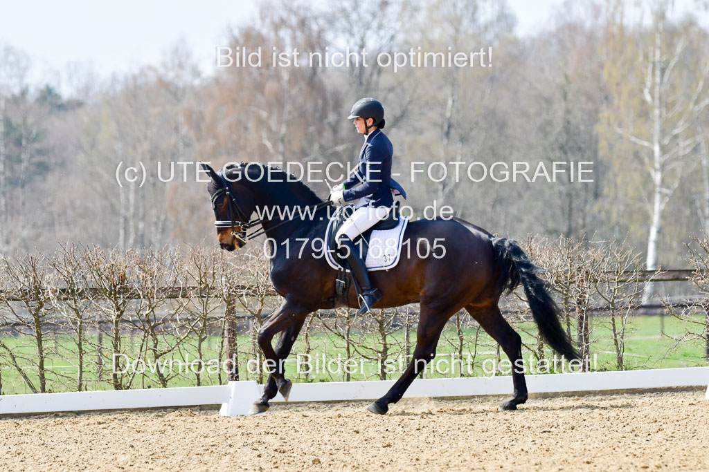 Reitsportzentrum Bremervörde | 10421 Dressur M++_179 