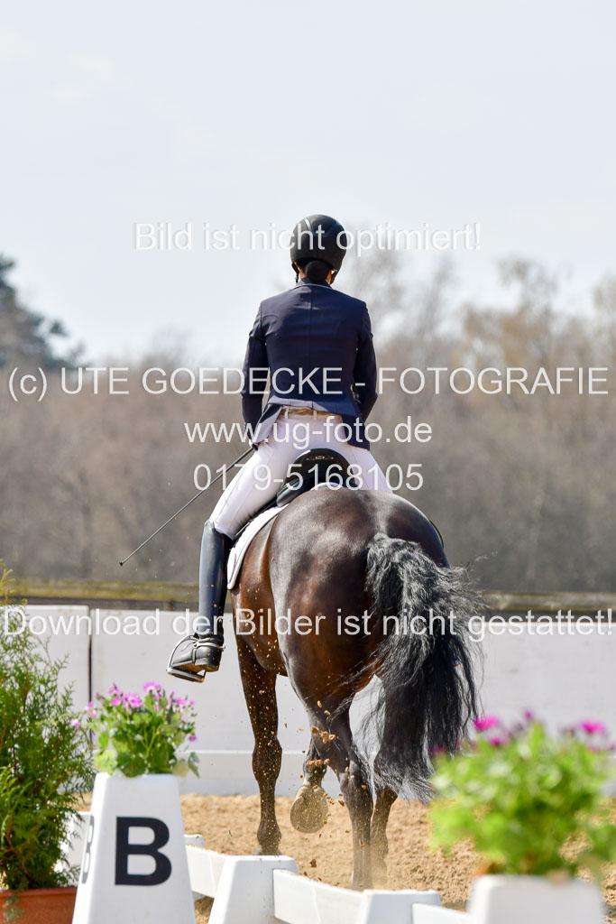 Reitsportzentrum Bremervörde | 10421 Dressur M++_183 