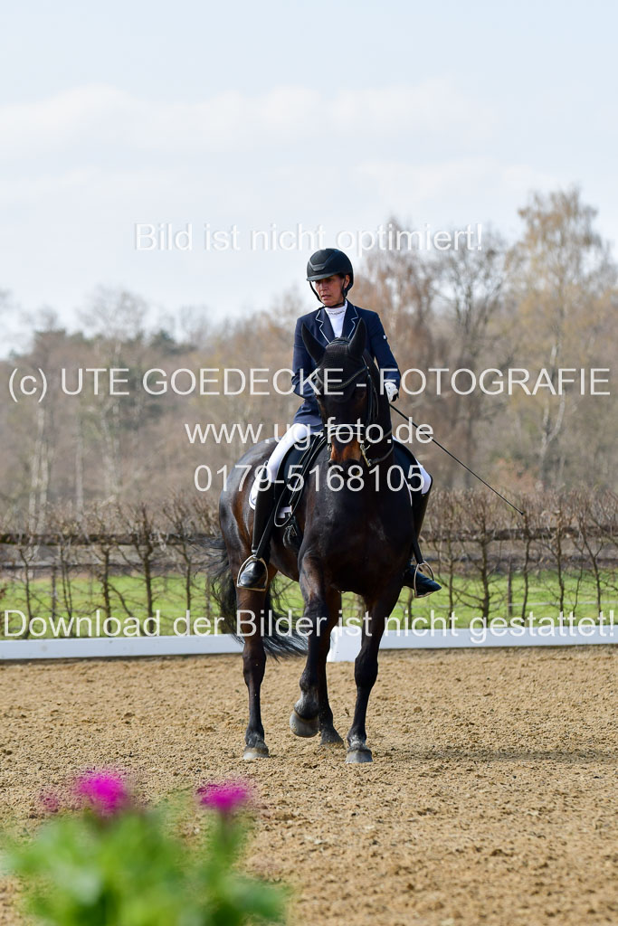 Reitsportzentrum Bremervörde | 10421 Dressur M++_184 