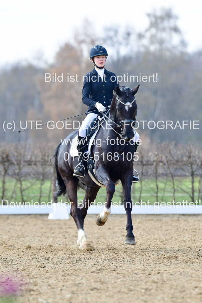 Reitsportzentrum Bremervörde | 10421 Dressur M++_191 